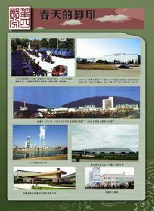 春天的腳印 春天的腳印