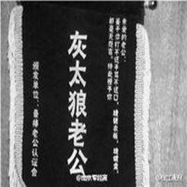 老公是灰太狼 老公是灰太狼