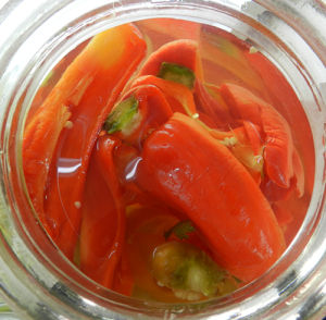 紅辣椒泡菜 紅辣椒泡菜