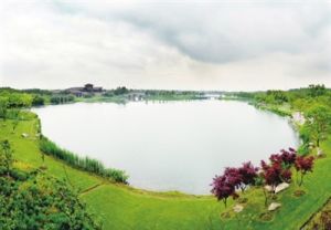 偽生態建設 偽生態建設