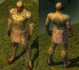 金剛護體神功 金剛護體神功