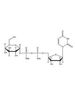 尿苷二磷酸葡萄糖 尿苷二磷酸葡萄糖