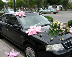 南京雙博汽車服務有限公司