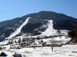金廠滑雪場 金廠滑雪場