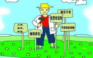 徵收拆遷安置補助