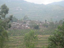 板橋村[雲南省祿勸縣屏山街道下轄村]