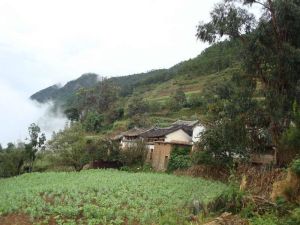 龍門下村 龍門下村