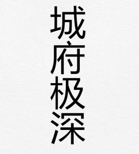 城府極深 城府極深