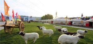 藍色故鄉 藍色故鄉