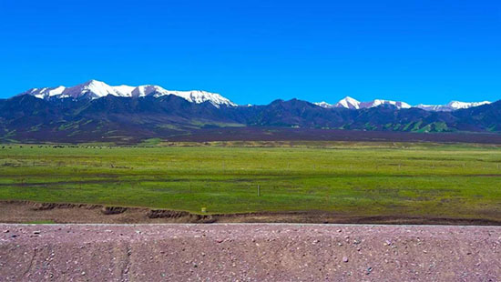 等一個人,陪我去張掖。