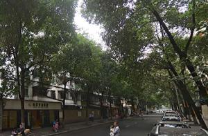 新華西路街道 新華西路街道