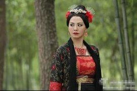 紅花鬼母 紅花鬼母