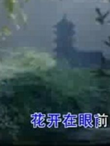 花開在眼前 花開在眼前