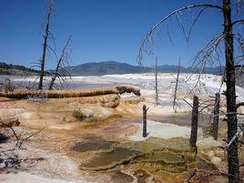 猛獁象溫泉區 猛獁象溫泉區