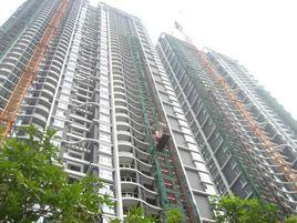 華標品峰 華標品峰