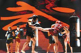 中國國家武術散打隊 中國國家武術散打隊