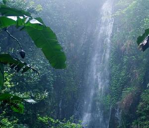 黑龍江龍鳳國家森林公園