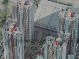 佳華兩代一家 佳華兩代一家