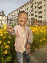 逯家莊村[山東省萊蕪市鋼城區艾山街道辦事處下轄村]