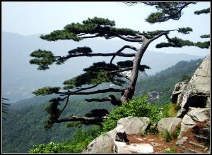 大別山主峰景區