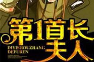 第一首長夫人 第一首長夫人