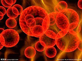 細菌病毒 細菌病毒