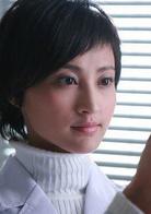 柳葉刀[2009年張建棟執導電視劇]