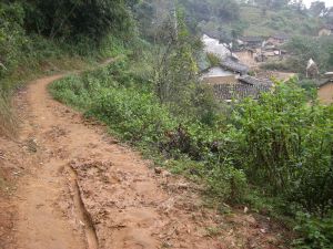 香椿箐自然村 香椿箐自然村