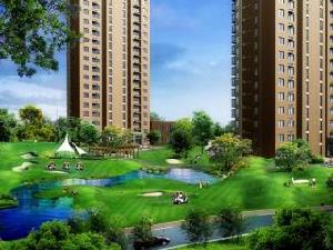 西堤國際 西堤國際