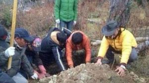 張揚導演被曝虐殺母鹿