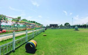 錦林佛手文化園