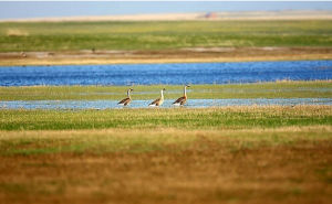 輝河自然保護區 輝河自然保護區