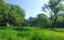 延慶三里河濕地公園 延慶三里河濕地公園