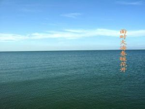 面對大海 面對大海