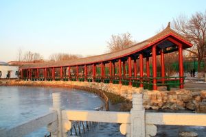 大港公園 大港公園