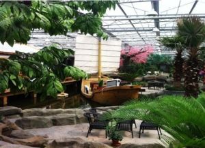 穩強溫泉 穩強溫泉