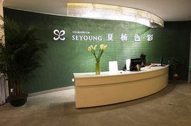 夏楊色彩 夏楊色彩