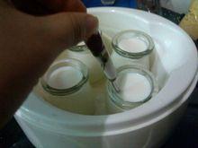 詳細小瓶裝優酪乳