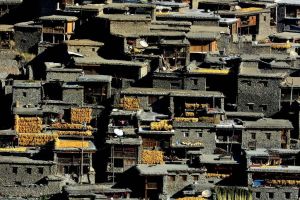 俄亞大村 俄亞大村