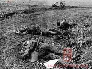 在美軍陣地前被擊斃的日軍士兵