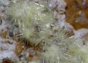 鋇砷鈾雲母 鋇砷鈾雲母