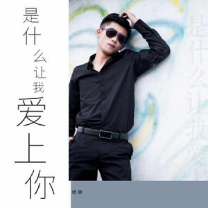 是什麼讓我愛上你 是什麼讓我愛上你