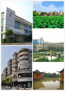 東涌鎮[廣東省廣州市南沙區東涌鎮]