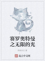 賽羅奧特曼之無限的光 賽羅奧特曼之無限的光