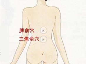 三焦俞 三焦俞
