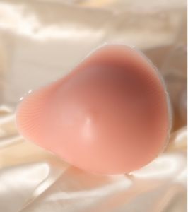 迪斯樂義乳 迪斯樂義乳