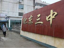 肥東縣第三中學 肥東縣第三中學