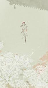 花枝春野 花枝春野