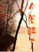 夕陽醉了[網路小說]