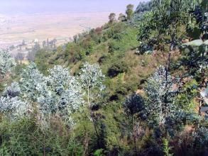 竹瓦倉村 竹瓦倉村